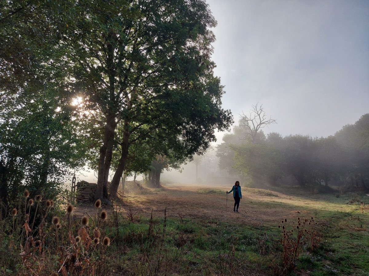 La liga de los maravillosos rutinarios - Mikel Renteria